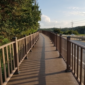 서산 오사리