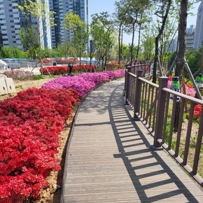 성남 공원 산책로