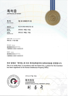 특허증[구조재곡면]