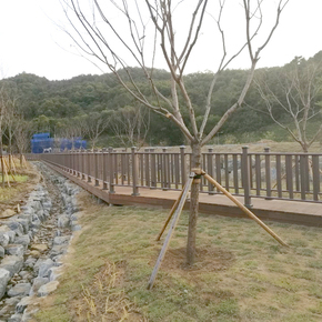 세종시 공원